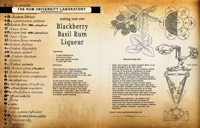 Making your own Blackberry Basil Rum Liqueur