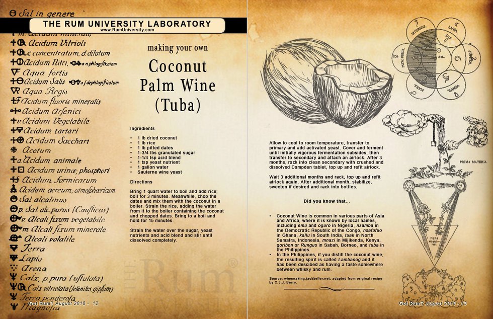 making your own coconut palm wine (Tuba)