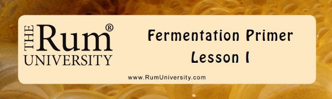 Fermentation Primer: Lesson I