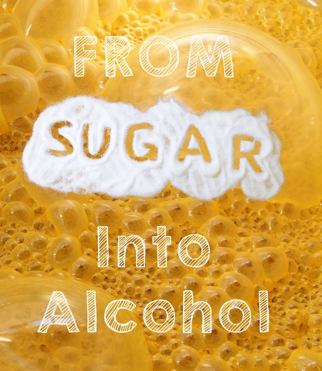 From Sugar to Alcohol