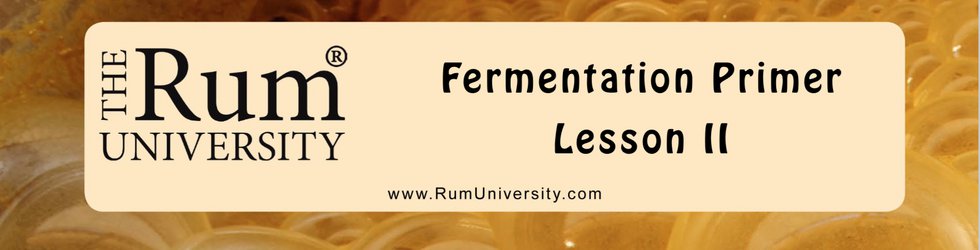 Fermentation Lesson 2