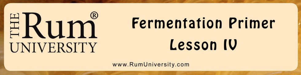 Fermentation Primer Lesson 4