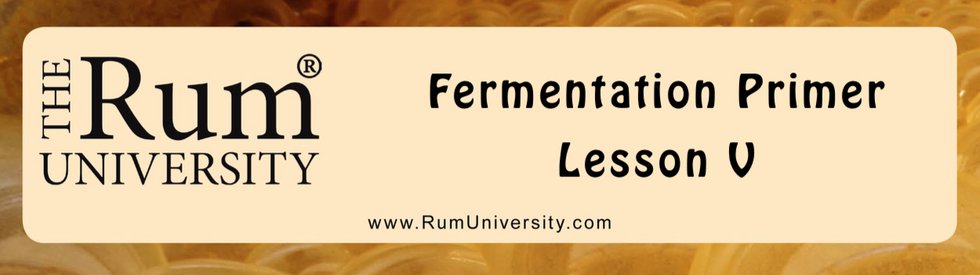 Fermentation Primer 5