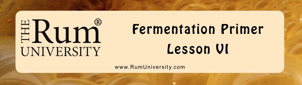 Fermentation Primer Lesson 6