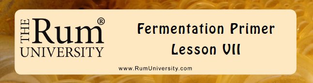 Fermentation Primer Lesson VII