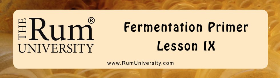 Fermentation Primer Lesson 9