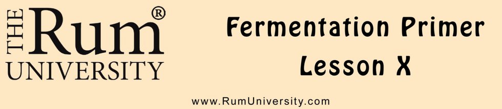 Fermntation Primer Lesson 10