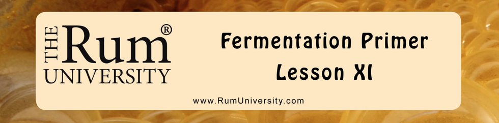 Fermentation Primer Lesson XI