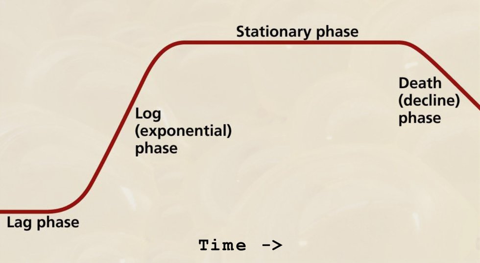 Stationary Phase