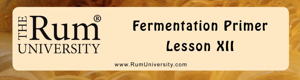 Fermentation Primer Lesson 12