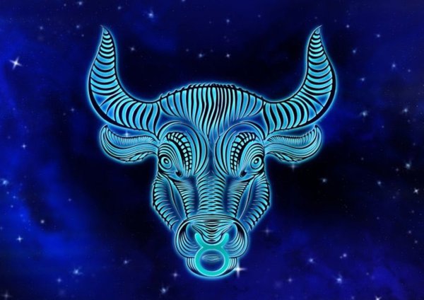 Taurus the Bull