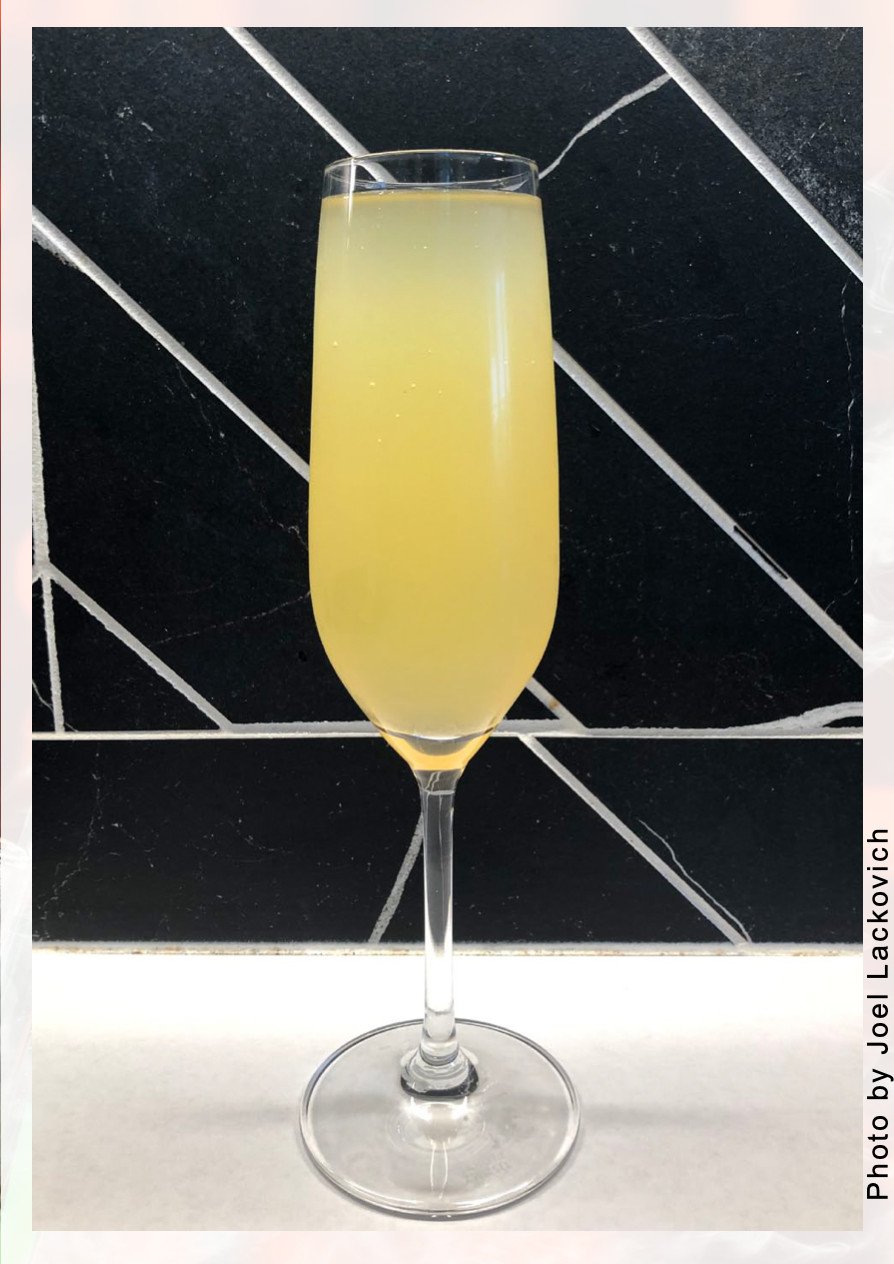 The Tropical Mimosa