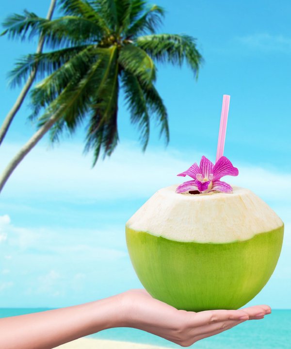 Cradling a delicious coconut