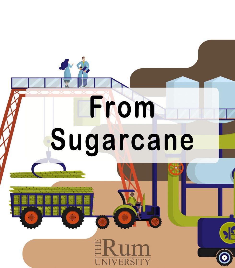 From Sugarcane
