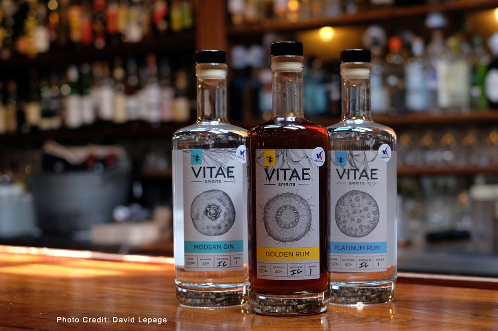 Vitae Spirits Products