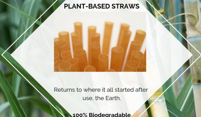 Plant Based Straws