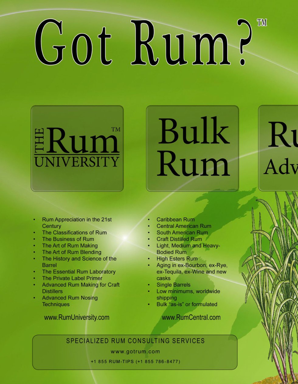 Got Rum Specialized Consulting Services