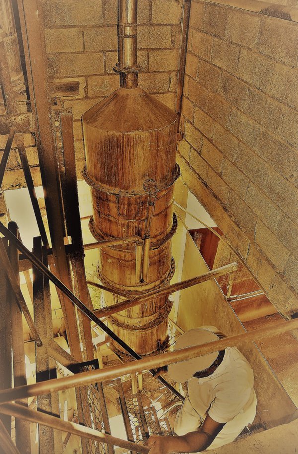 Distillation of Sugarcane Juice of 1716