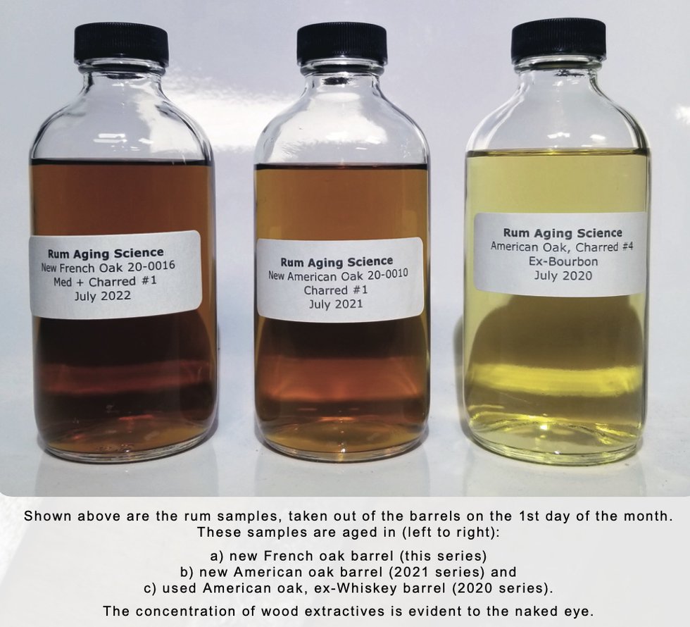 Rum aging science 6th month samples