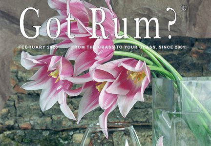 "Got Rum?" February 2023 Featured Story