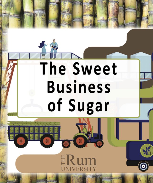 The Sweet Business of Sugar.