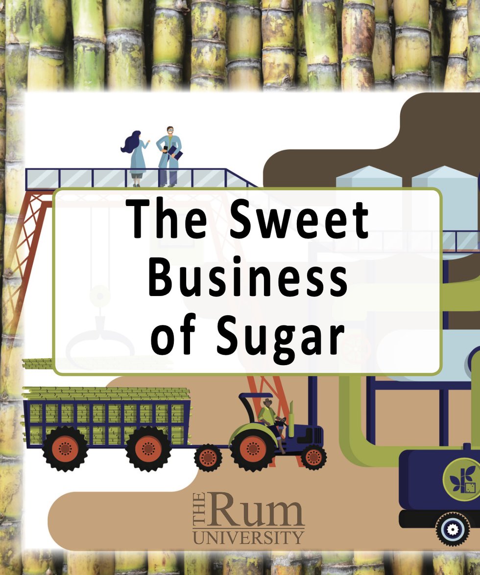 The Sweet Business of Sugar Dominican Republic