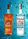 Wicked Dolphin Rums