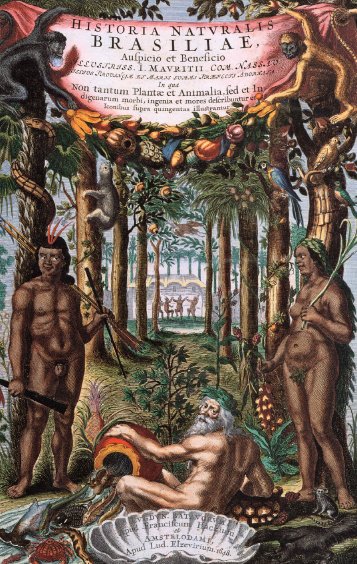 On the Quest Again: 2. Historia Naturalis Brasiliae